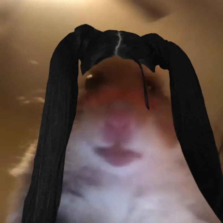 Bella poarch TikTok